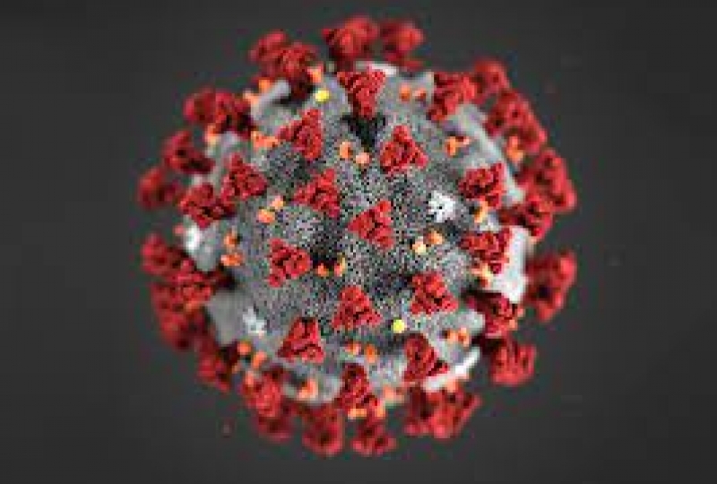 Bilde av koronaviruset